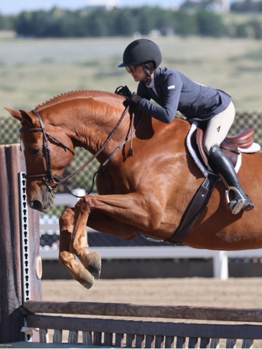 Animo Blue Show Coat Jacket Size I-40